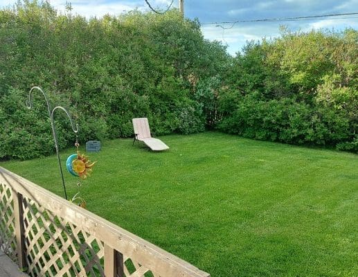 Green lawn with lounger and fence.