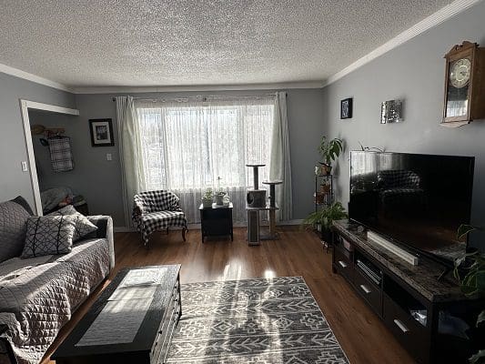 Living room with large TV and comfy couch.