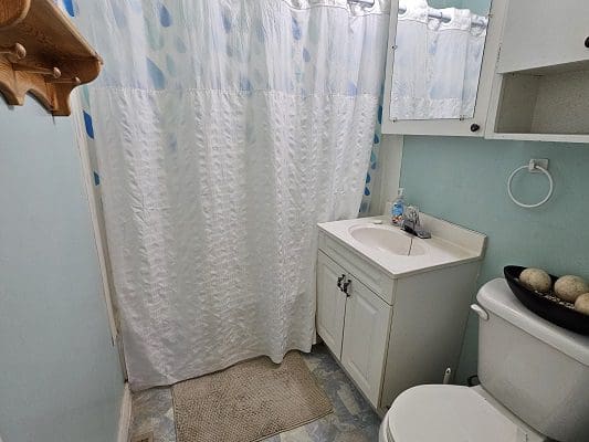Small bathroom with shower and toilet.