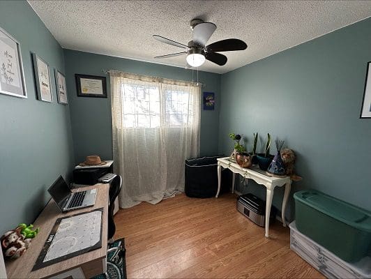 Home office with desk and plants.