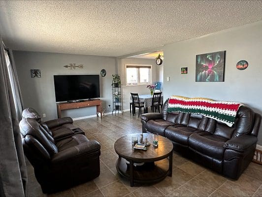 Living room with leather sofas and TV.