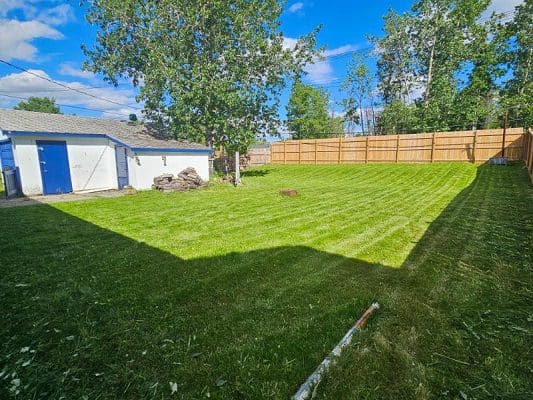 House backyard with green lawn and fence.
