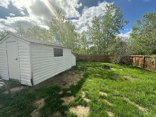 White shed in backyard with green grass.
