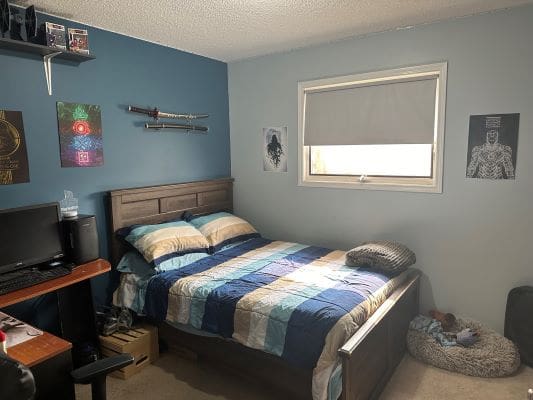Bedroom with bed, posters, and window.