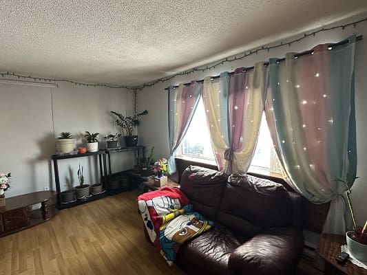 Living room with couch and plants.