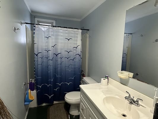 Bathroom with blue seagull shower curtain.