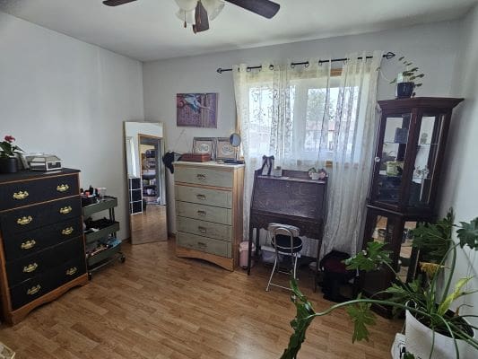 Cozy room with furniture and plants.