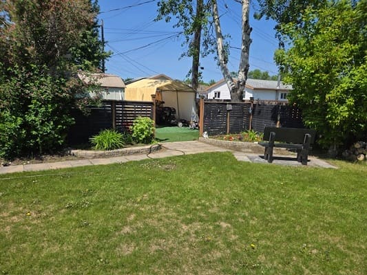 Sunny backyard with grass and bench.