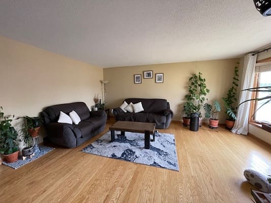 Living room with sofas and indoor plants.