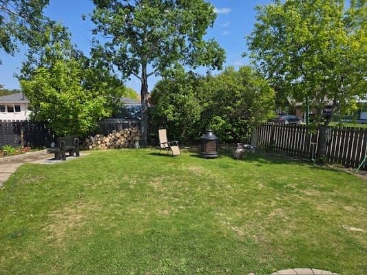 Backyard with lawn, trees, and chairs.