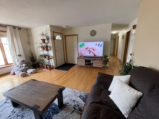 Living room with TV and brown sofa.