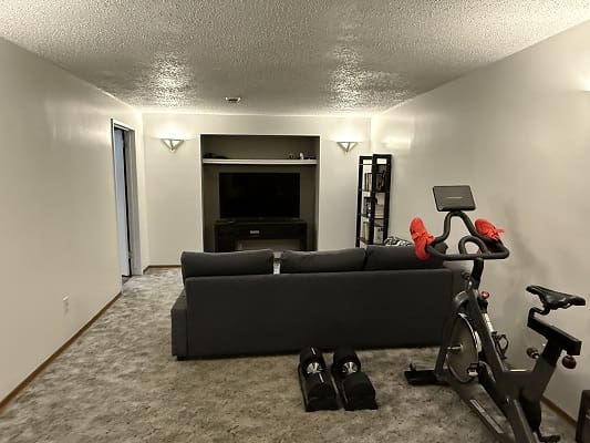 Basement room with couch and exercise bike.