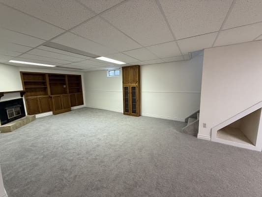 Spacious basement with carpet and wooden shelves.