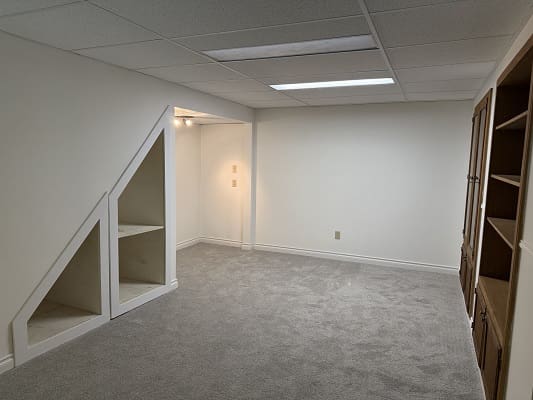 Unfurnished basement room with carpet and shelves.