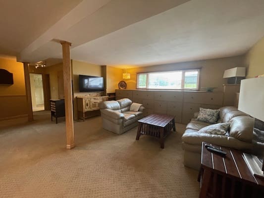 Basement living room with sofas and TV.