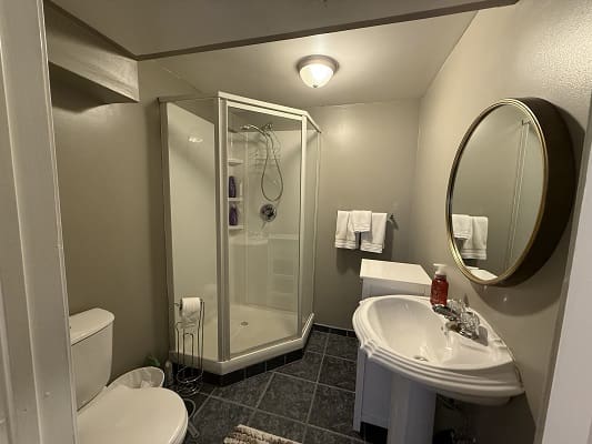 Modern bathroom with shower and sink.