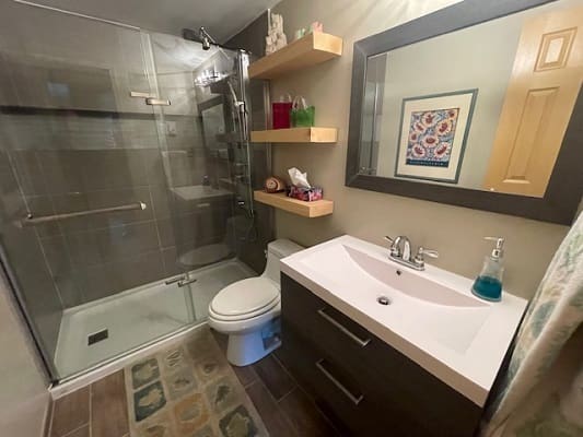 Modern bathroom with shower and vanity.