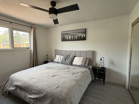 Modern bedroom with bed and ceiling fan.
