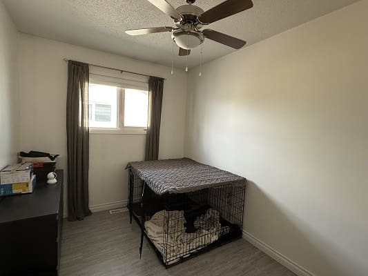 Room with dog crate and ceiling fan.