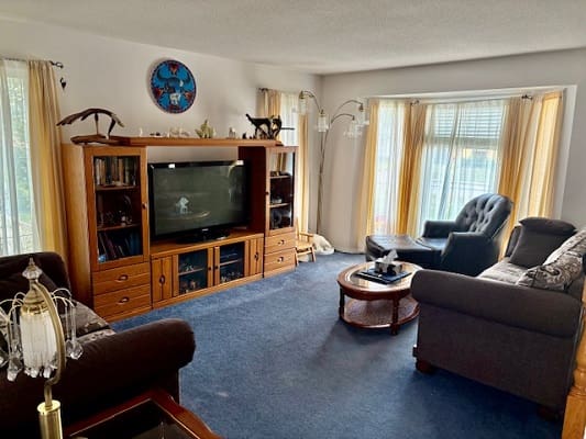 Cozy living room with television and sofas.