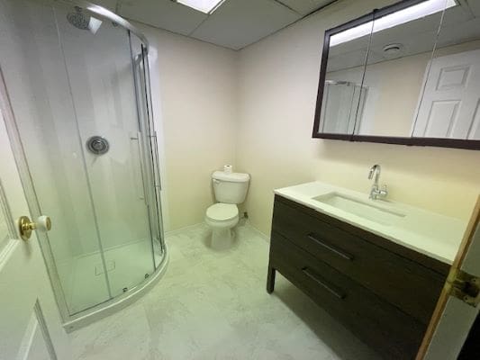 Modern bathroom with shower, toilet, and sink.