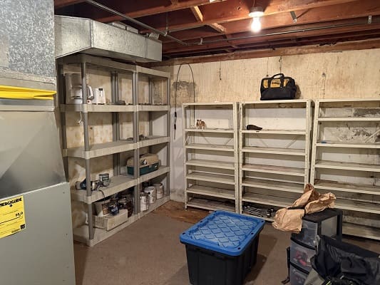 Basement with shelves and storage containers.