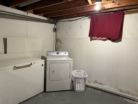 Basement laundry area with dryer and freezer.