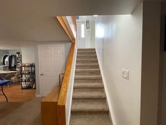 Carpeted staircase in a modern basement.