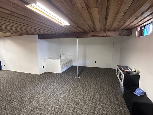Unfinished basement with bed and carpet.