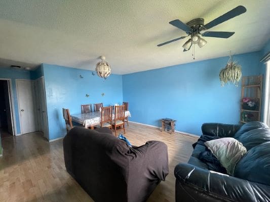 Living room with blue walls and furniture.