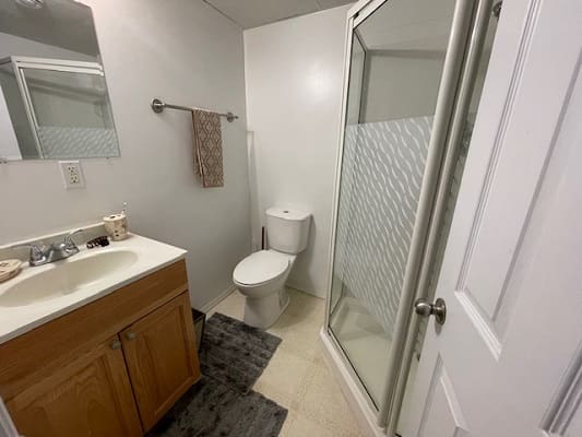 Small bathroom with shower and wooden vanity.