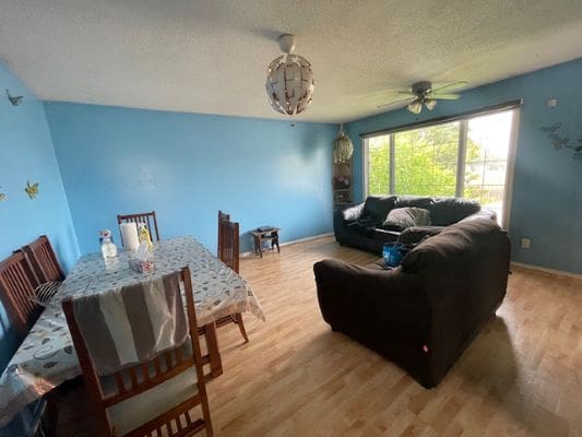 Living room with blue walls and furniture.