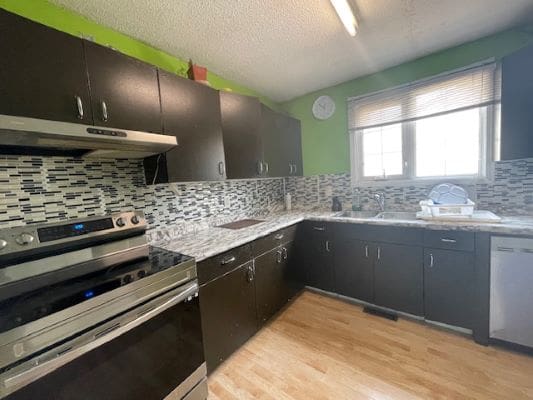 Modern kitchen with green walls and cabinets.