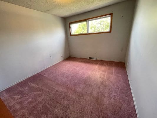Empty room with pink carpet and window.
