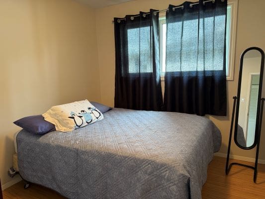 Bedroom with bed, pillows, and standing mirror.