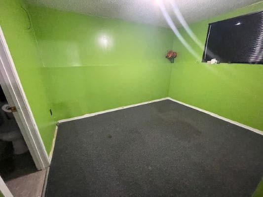 Bright green room with dark carpet floor.