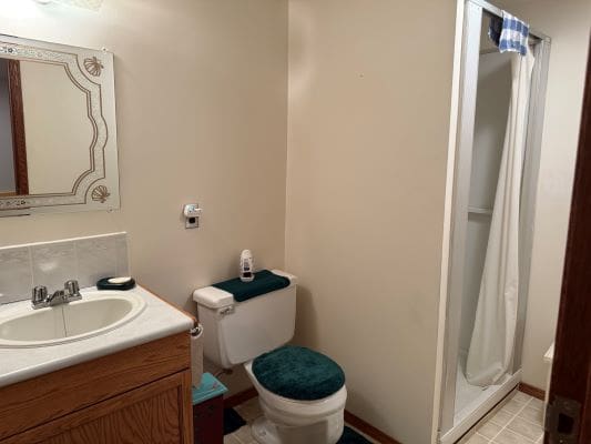 Small bathroom with shower, toilet, and sink.