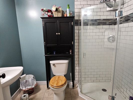 Bathroom with shower, toilet, and cabinet.