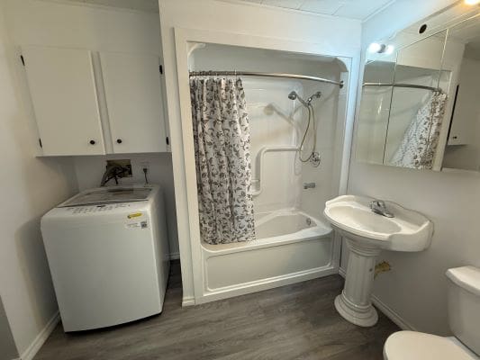 Bathroom with shower, sink, and washing machine.