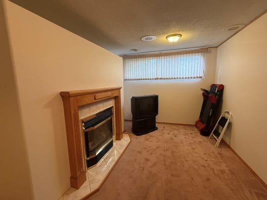 Basement room with fireplace and TV.