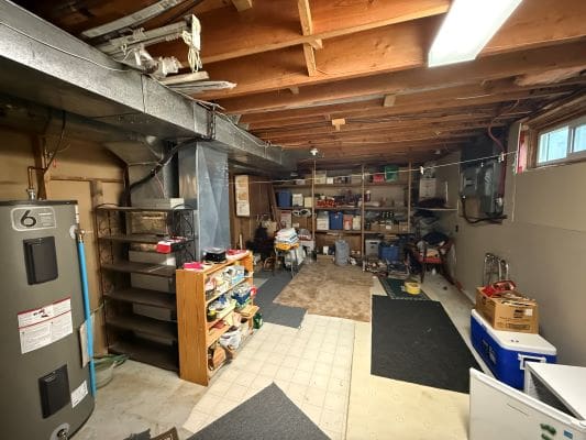 Basement with shelves and storage items.