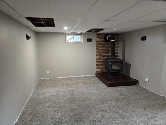 Basement room with wood stove and carpet.