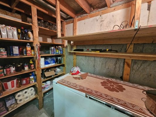 Basement pantry with shelves and freezer.