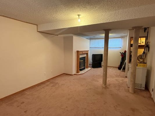 Carpeted basement with fireplace and TV.
