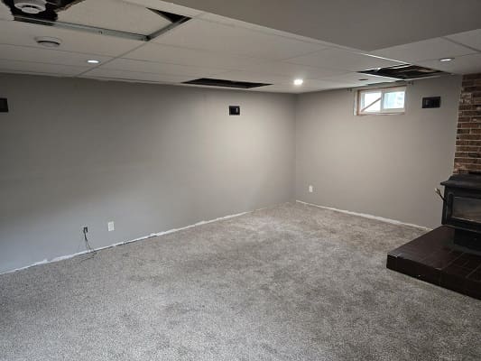 Basement room with carpet and wood stove.
