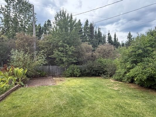 Green backyard with trees and cloudy sky.
