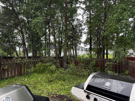 Backyard with trees and two barbecue grills.