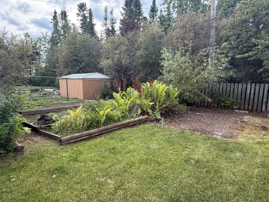 Garden with shed and green vegetation.