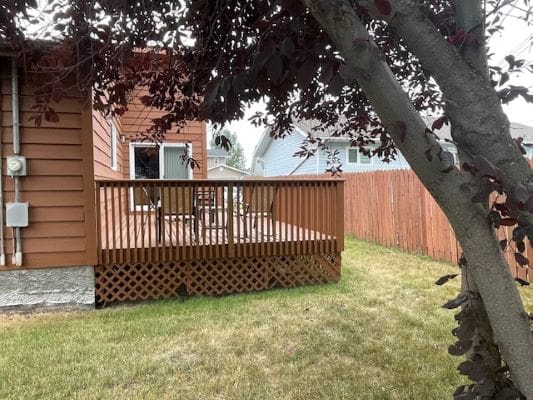 Wooden deck and tree in backyard.