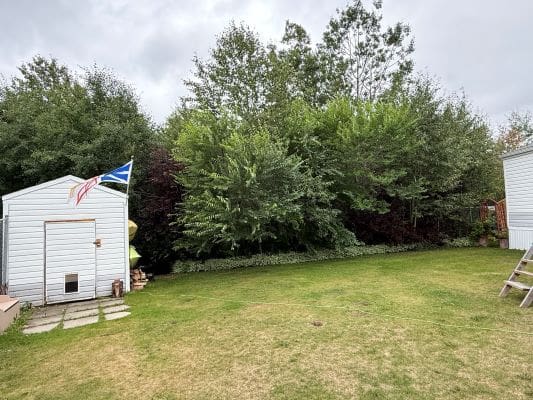 Garden with two sheds and flags.